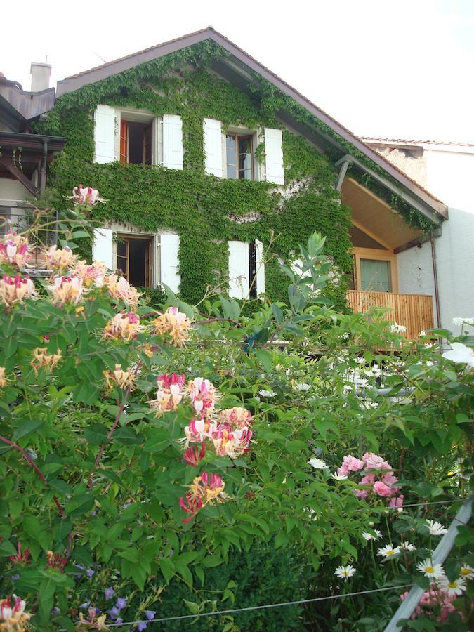 Wonderlandscape Guest House Le Grand Saconnex Екстериор снимка