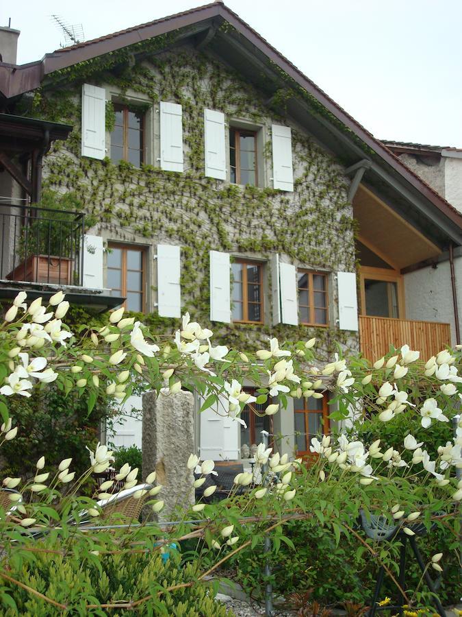 Wonderlandscape Guest House Le Grand Saconnex Екстериор снимка